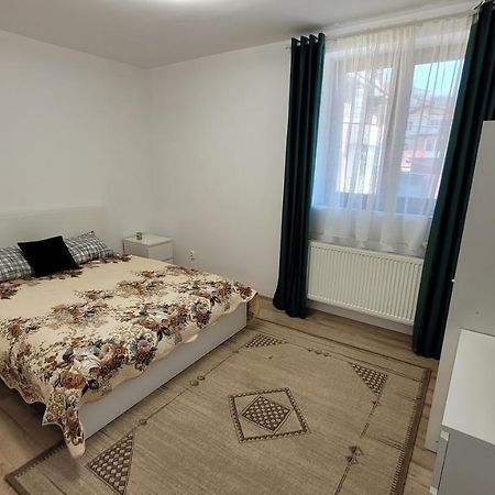 Andy Apartament Петрошани Экстерьер фото
